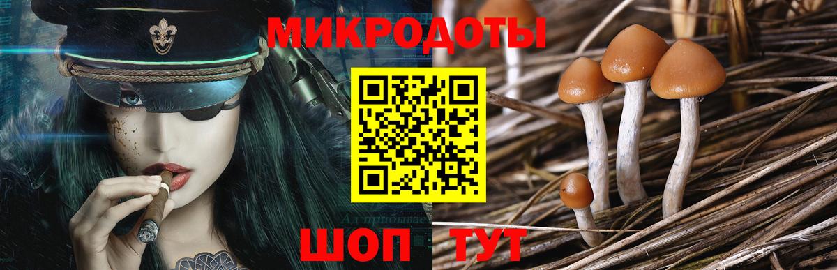 Урус-Мартан  Галлюциногенные грибы Psilocybe  купить наркоту  Вход с VPN 